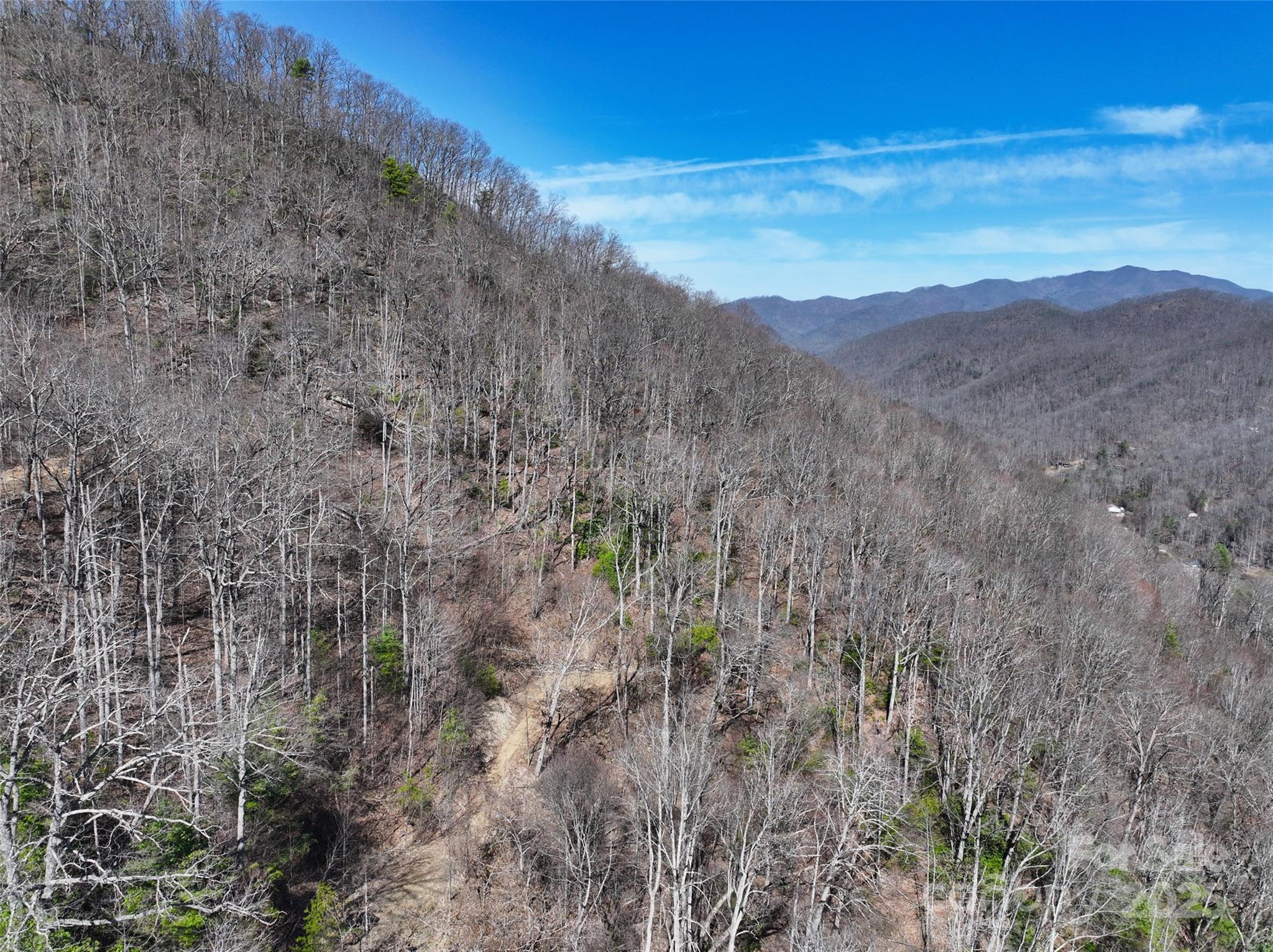 99999 Green Ridge Falls Road, Unit 17 Barnardsville, NC 28709 - Photo 12 of 21 a view of a dry yard with mountains in the background