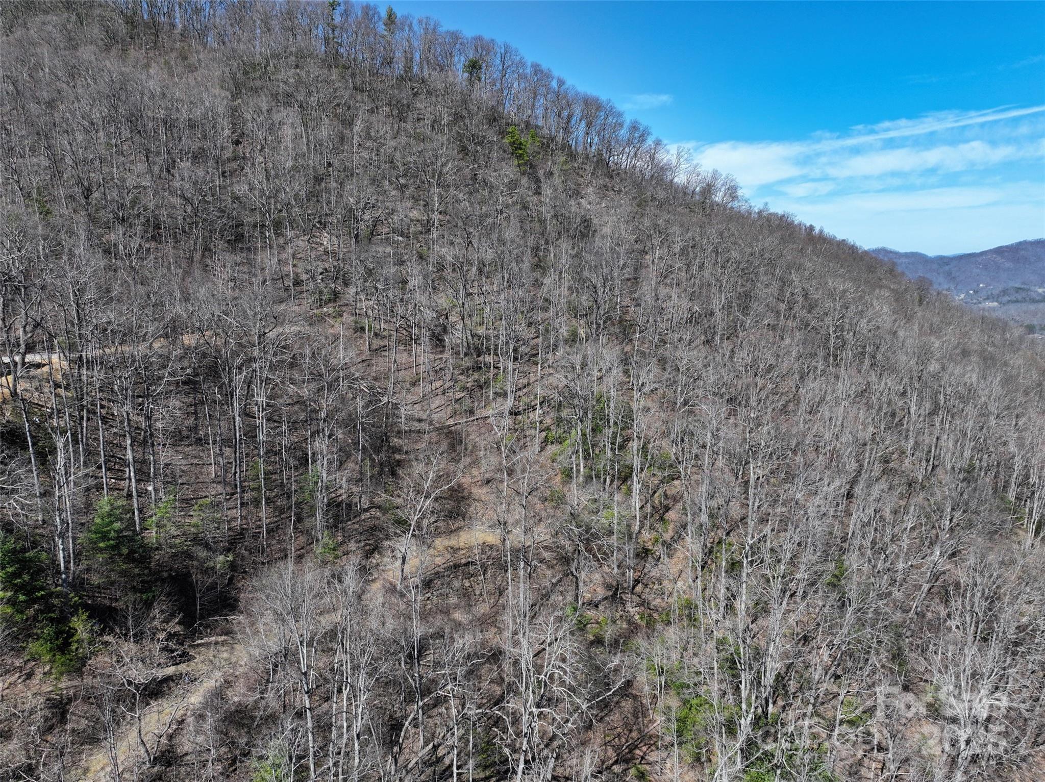 99999 Green Ridge Falls Road, Unit 17 Barnardsville, NC 28709 - Photo 13 of 21 a view of a dry yard with green space