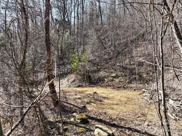 a view of a yard covered with snow