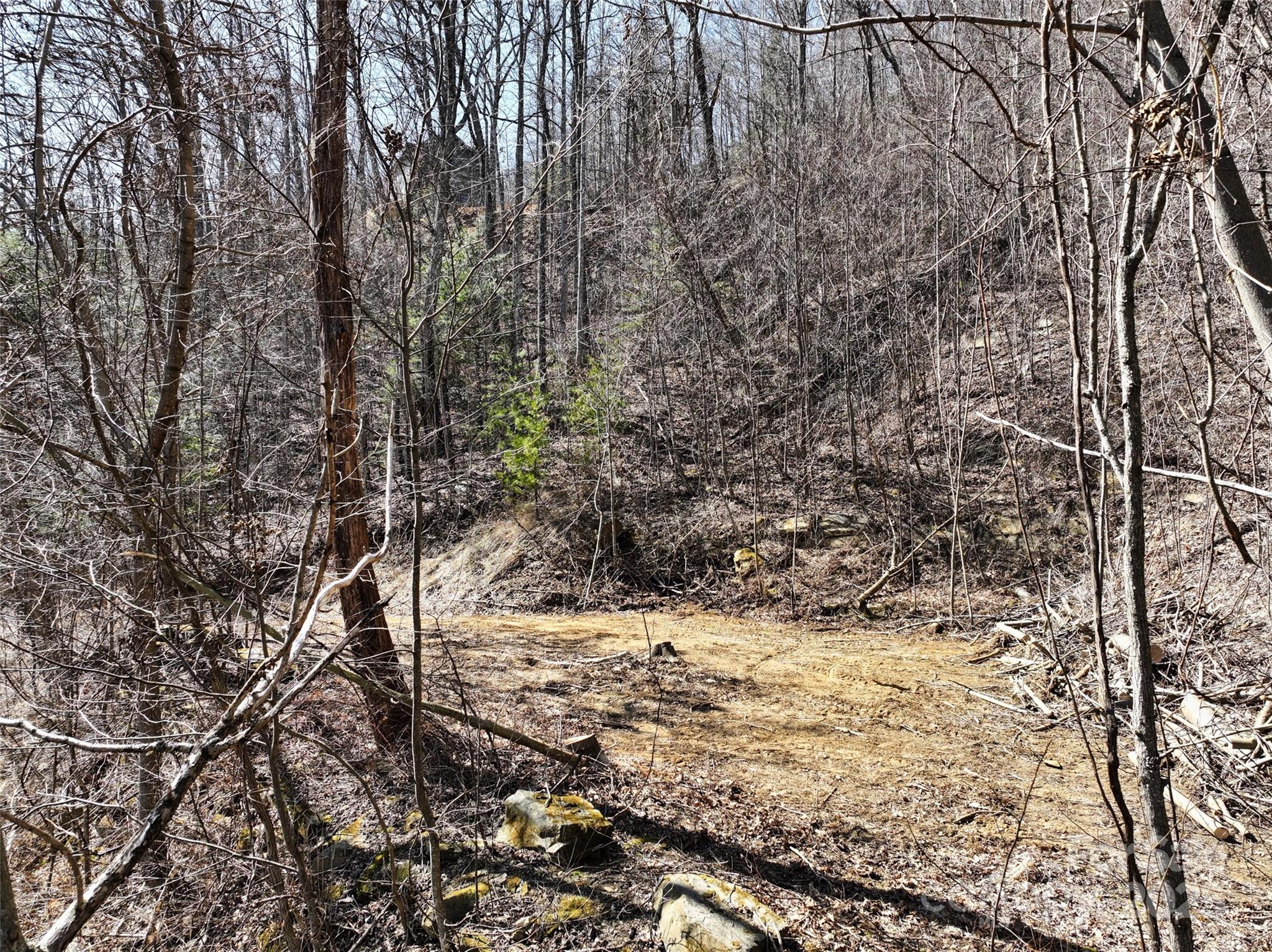 99999 Green Ridge Falls Road, Unit 17 Barnardsville, NC 28709 - Photo 14 of 21 a view of a yard covered with snow