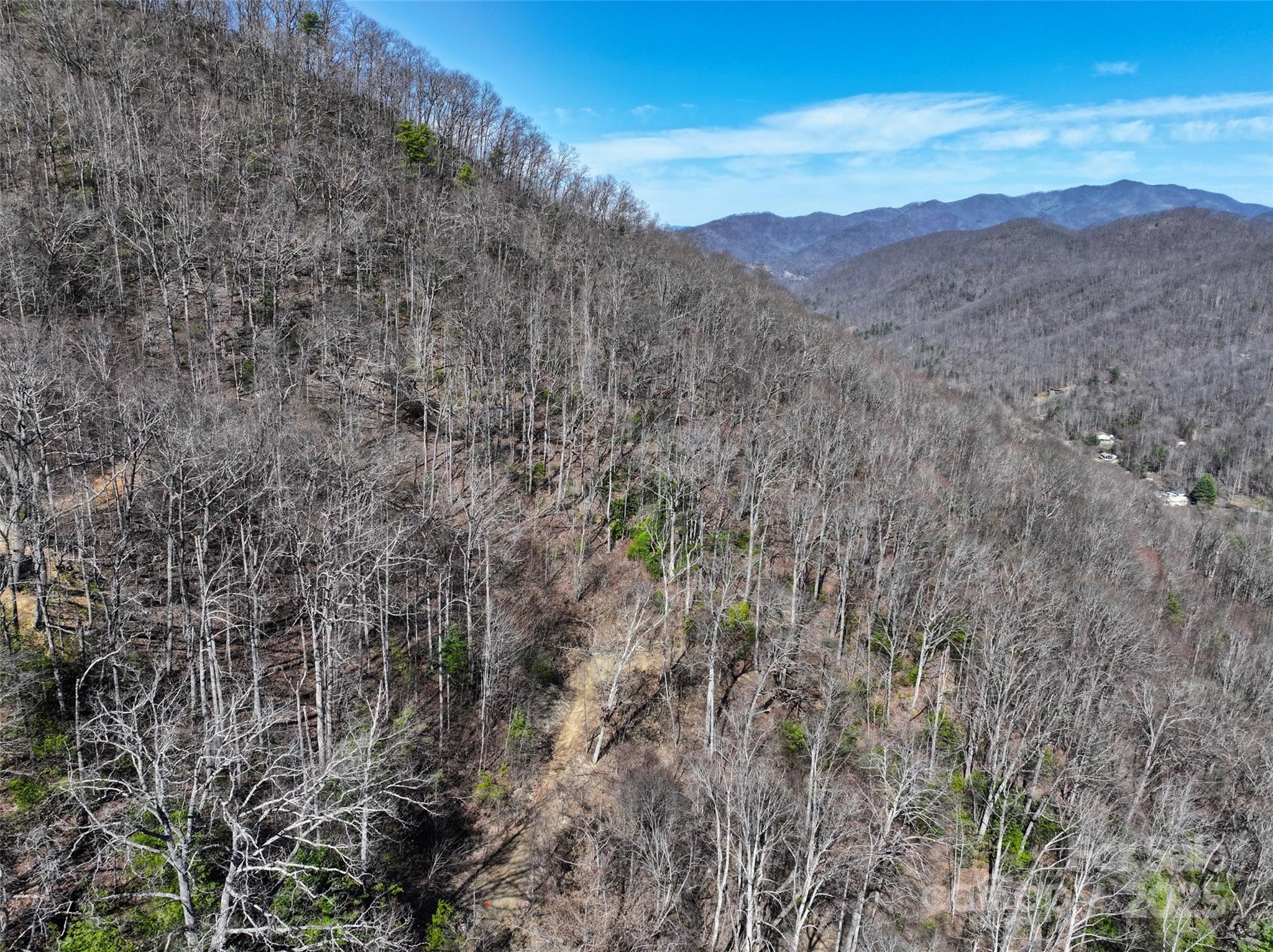 99999 Green Ridge Falls Road, Unit 17 Barnardsville, NC 28709 - Photo 17 of 21 a view of a dry yard with mountains in the background