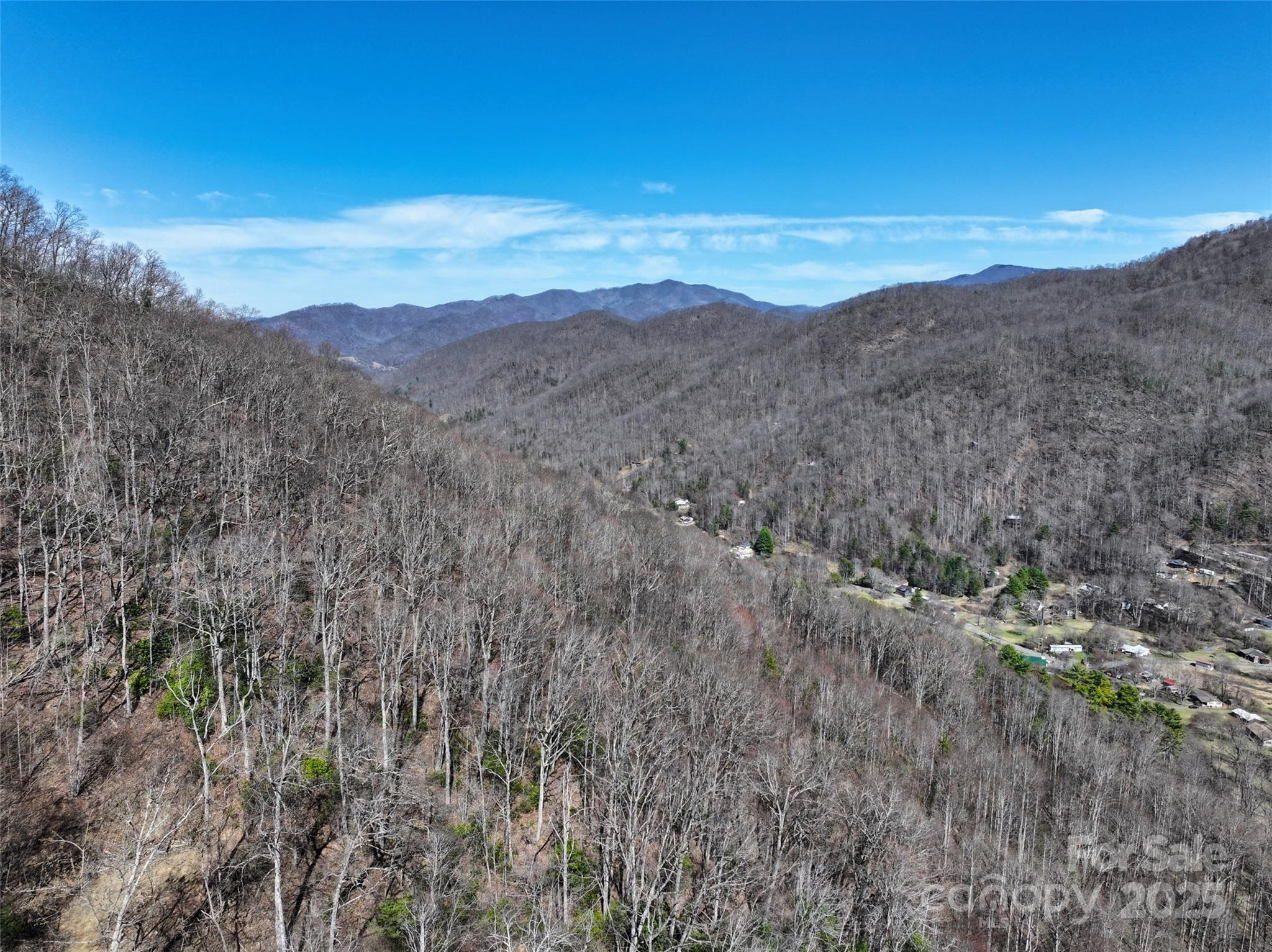 99999 Green Ridge Falls Road, Unit 17 Barnardsville, NC 28709 - Photo 18 of 21 a view of a mountain in the distance in a field