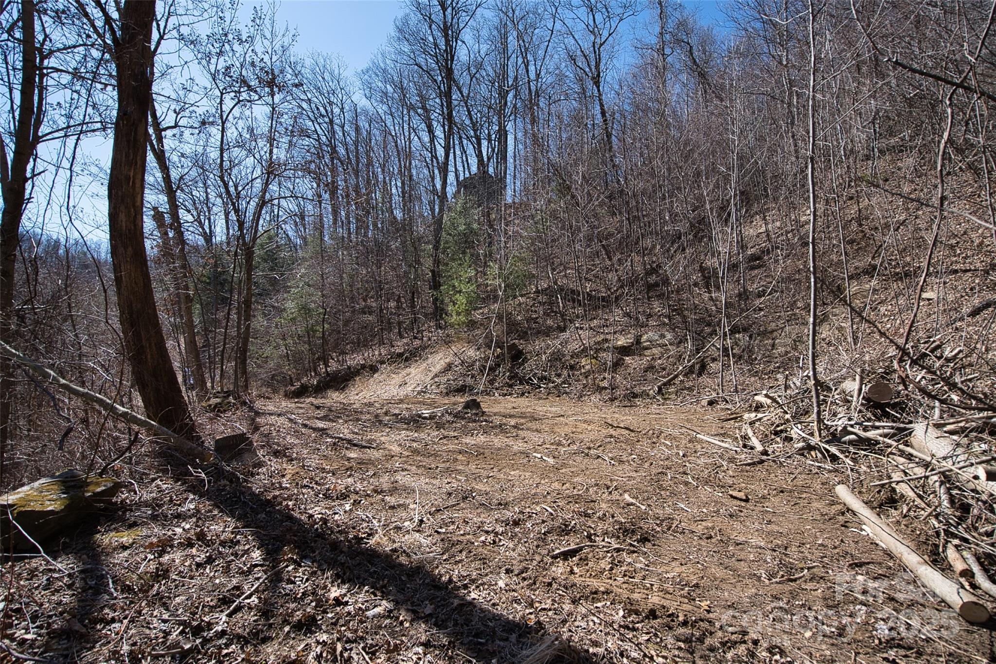 99999 Green Ridge Falls Road, Unit 17 Barnardsville, NC 28709 - Photo 3 of 21 a view of a yard with large trees