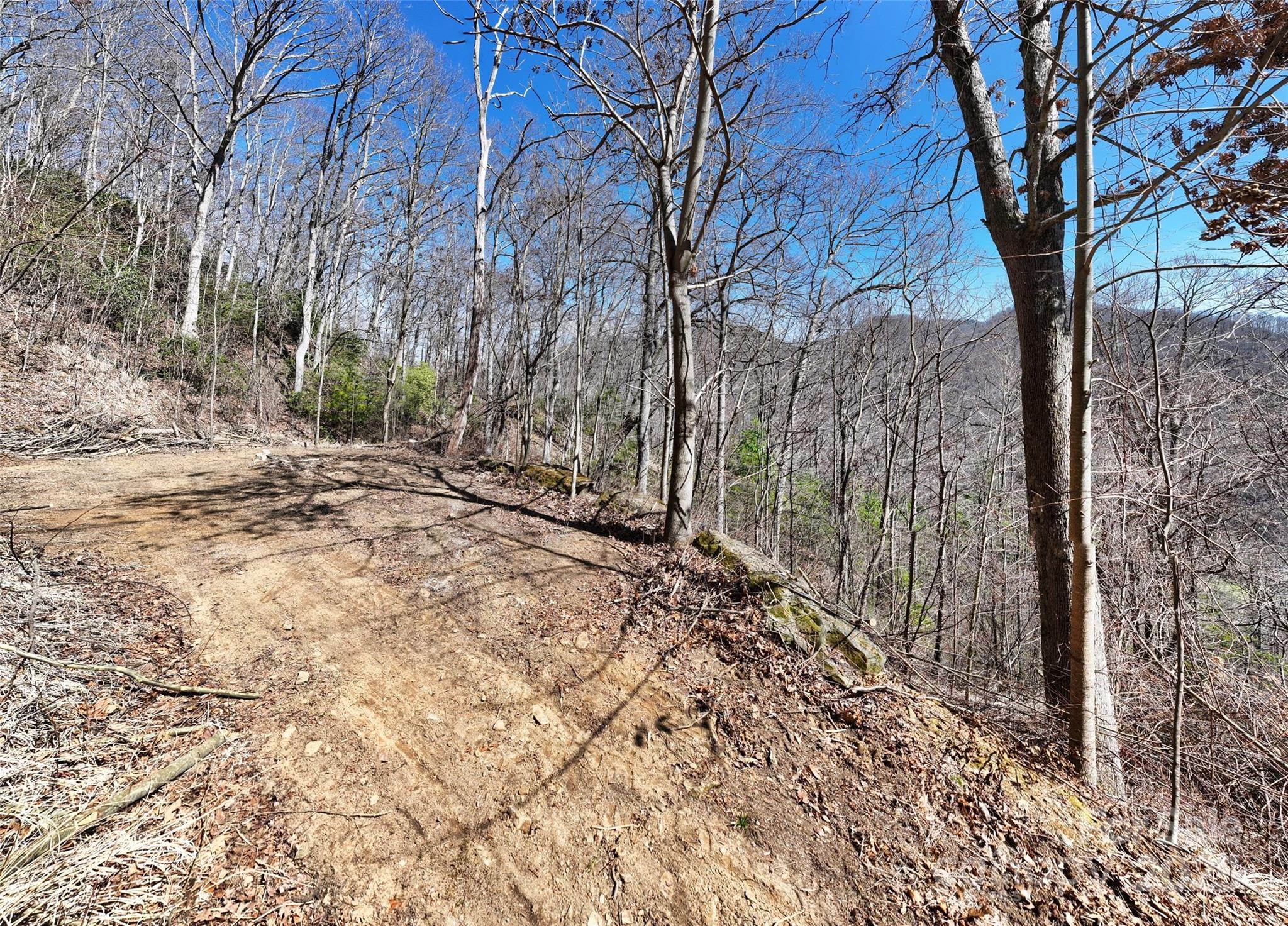 99999 Green Ridge Falls Road, Unit 17 Barnardsville, NC 28709 - Photo 4 of 21 a view of a yard with trees