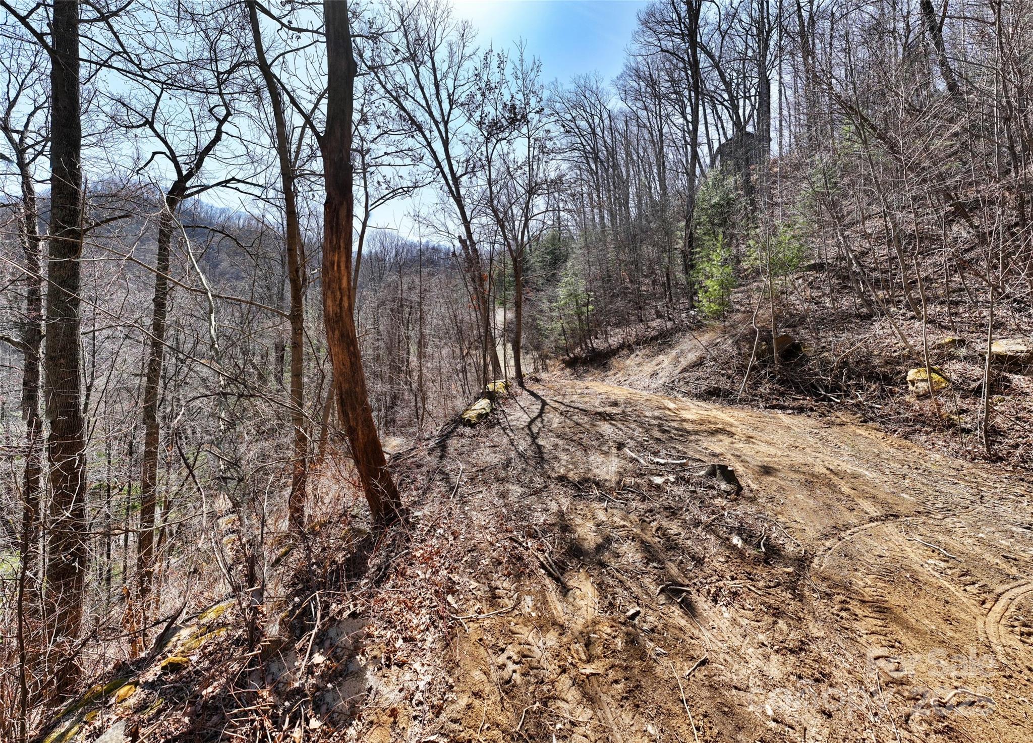 99999 Green Ridge Falls Road, Unit 17 Barnardsville, NC 28709 - Photo 5 of 21 a view of a forest that has large trees