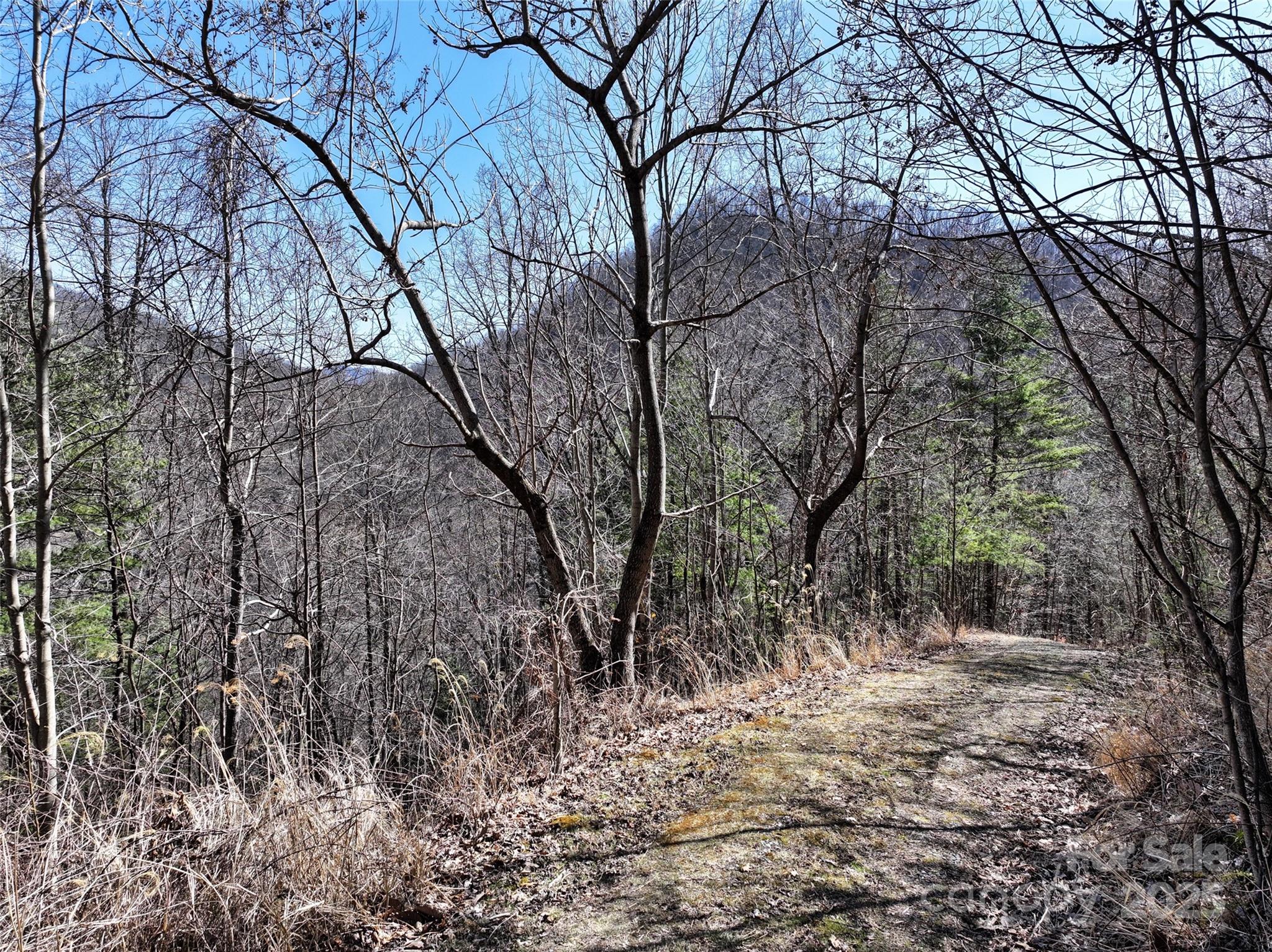 99999 Green Ridge Falls Road, Unit 17 Barnardsville, NC 28709 - Photo 6 of 21 a pathway of a yard