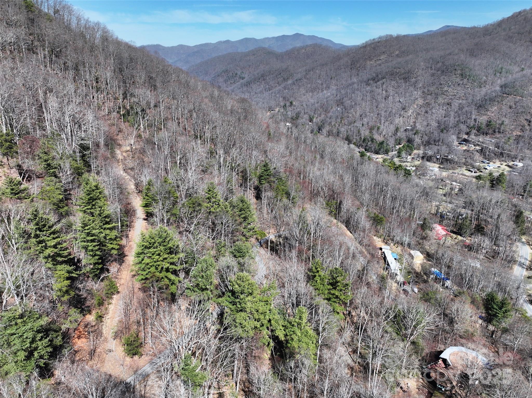 99999 Green Ridge Falls Road, Unit 17 Barnardsville, NC 28709 - Photo 8 of 21 a view of a forest with mountains in the background