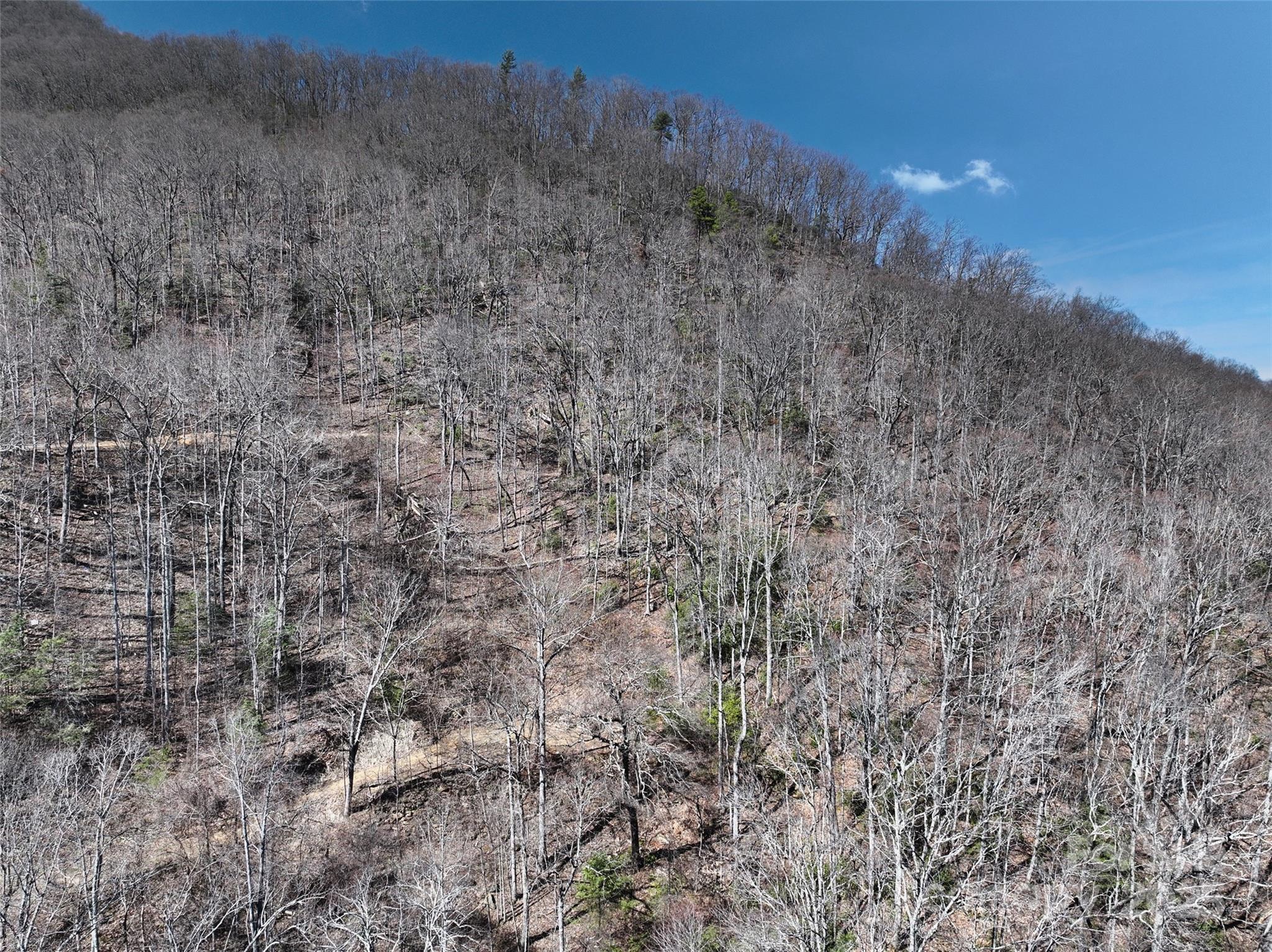 99999 Green Ridge Falls Road, Unit 17 Barnardsville, NC 28709 - Photo 9 of 21 a view of a dry field