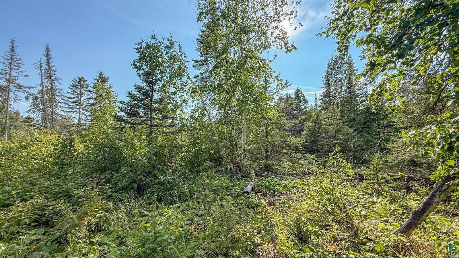 Xxx1 Mink Ranch Road Lutsen, MN 55612 - Photo 3 of 19 Gallery Image 3