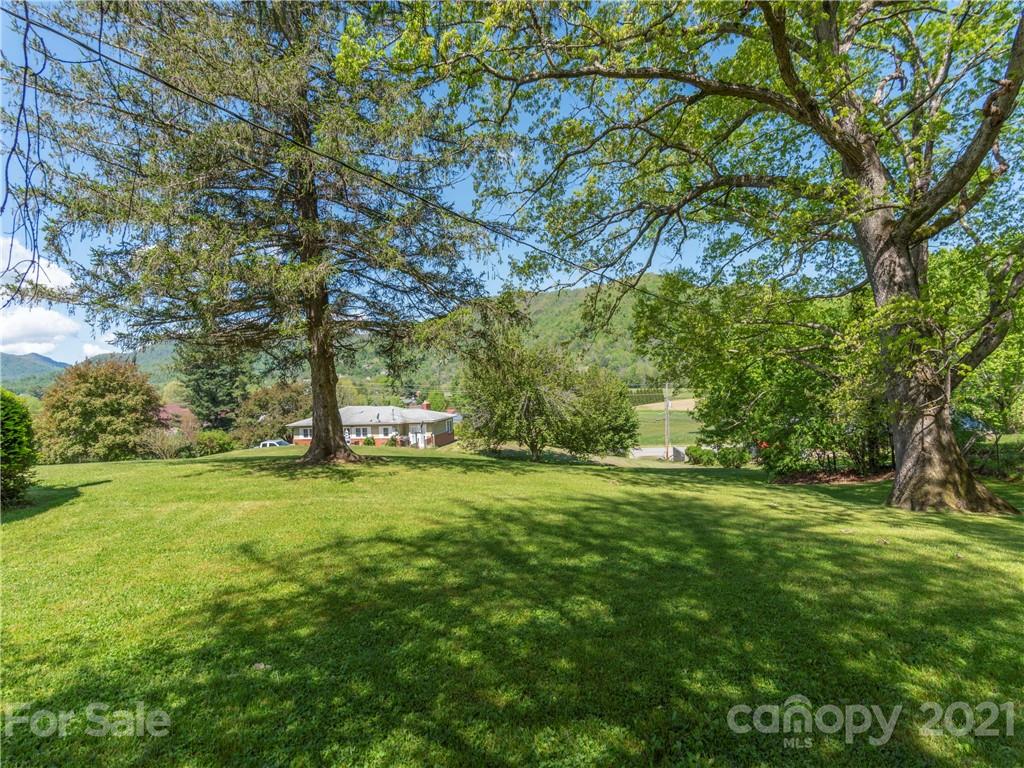 113 Possum Ridge Road Canton, NC 28716 - Photo 20 of 24 a big yard with lots of green space and trees