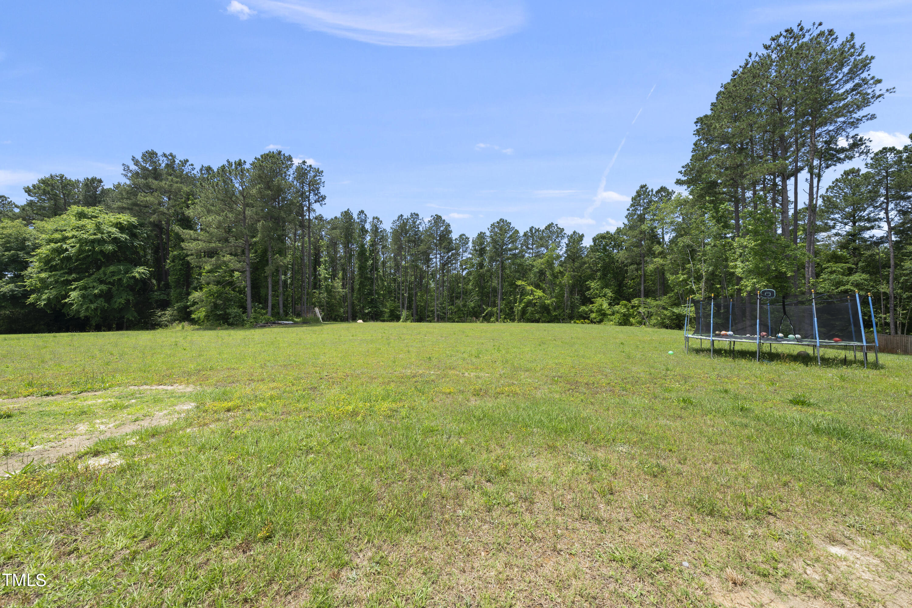 401 Sunrise Ridge Drive Willow Spring, NC 27592 - Photo 4 of 48 DSC01912