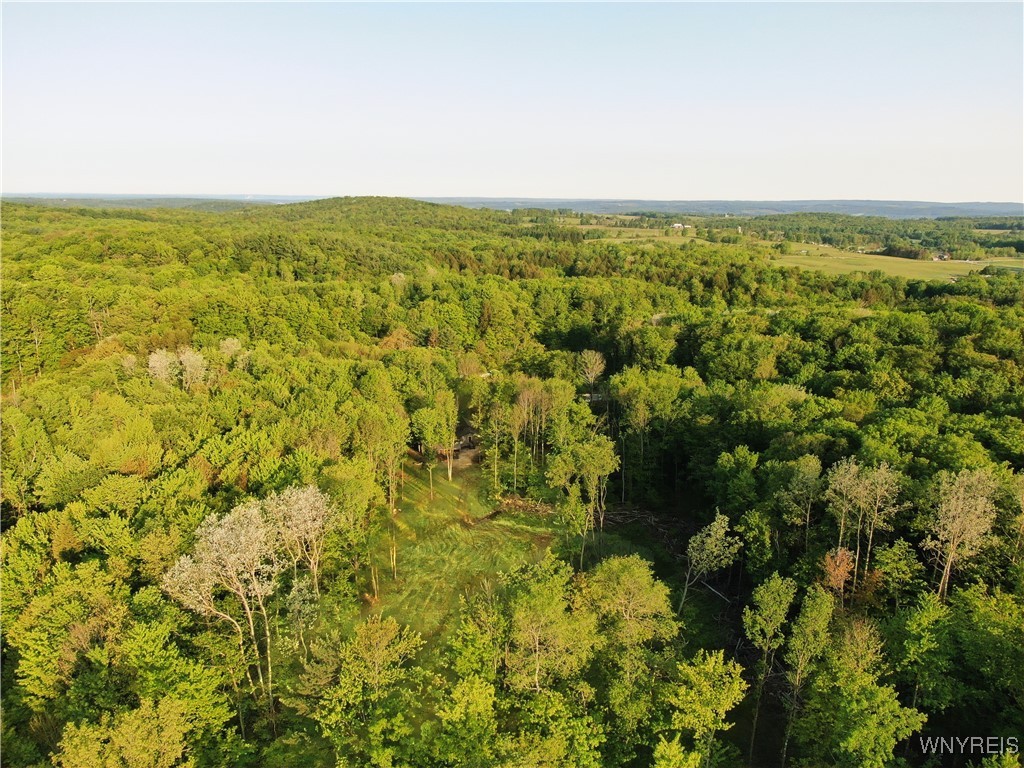 2718 Vollentine Road Randolph, NY 14772 - Photo 43 of 49