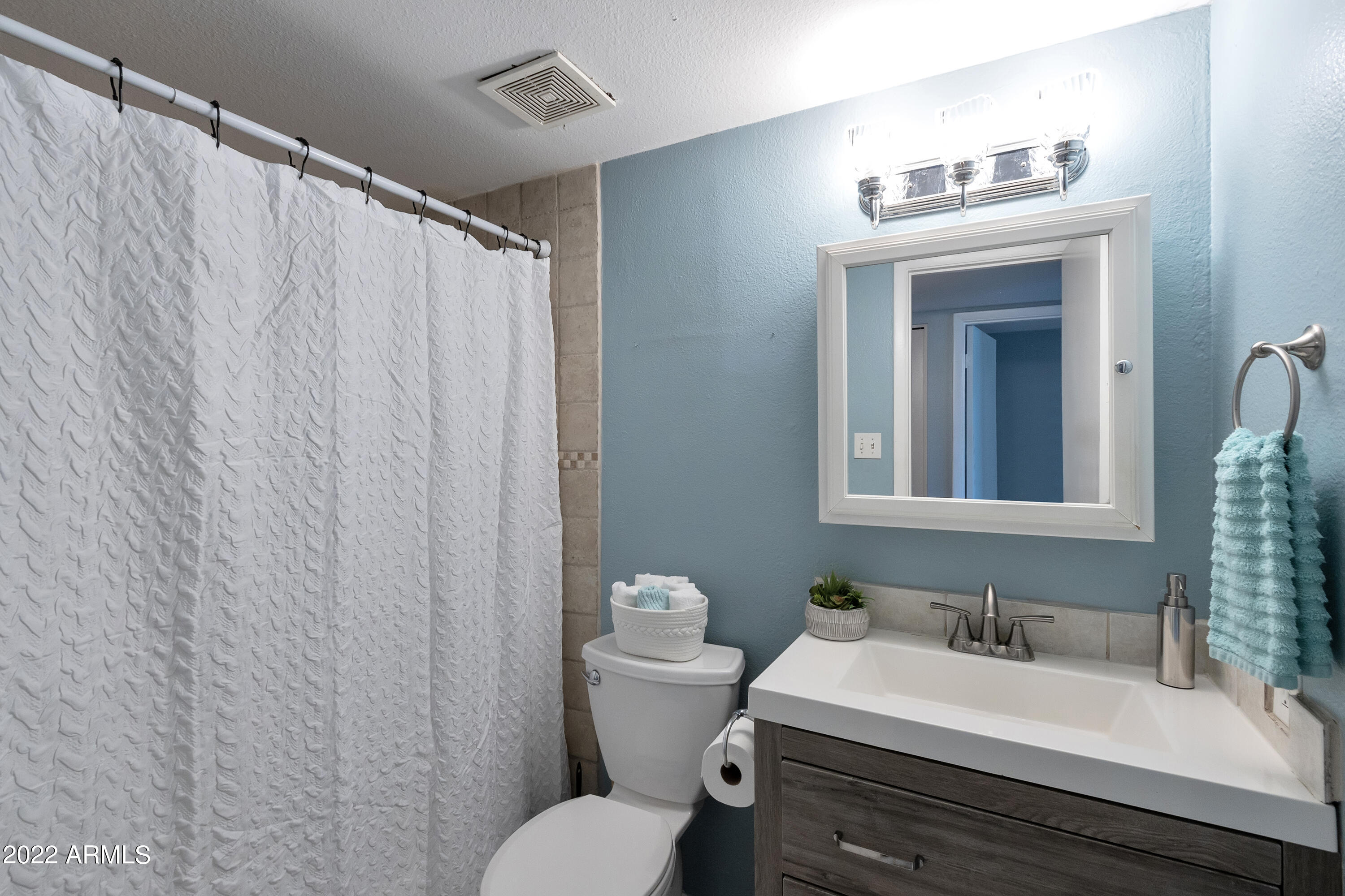 600 South Dobson Road, Unit 100 Mesa, AZ 85202 - Photo 13 of 18 Bathroom