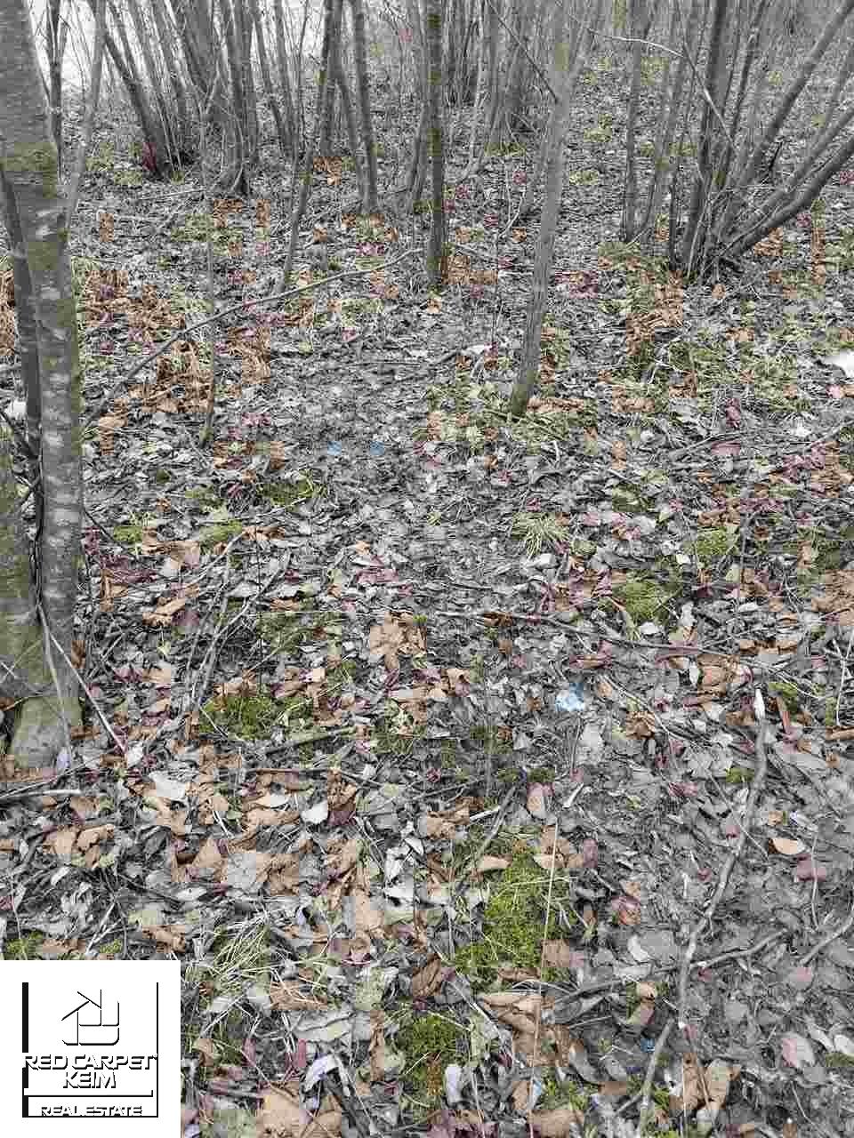 Vl Arbela Road Millington, MI 48746 - Photo 4 of 13