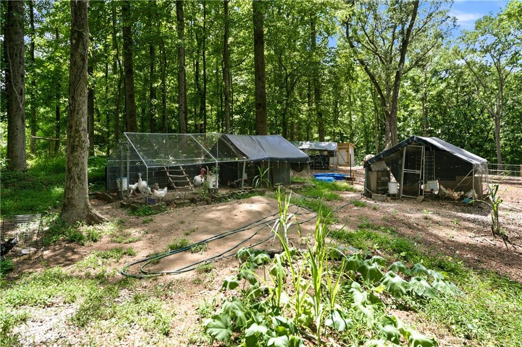 1042 Carl Bramlett Road Winder, GA 30680 - Photo 34 of 42