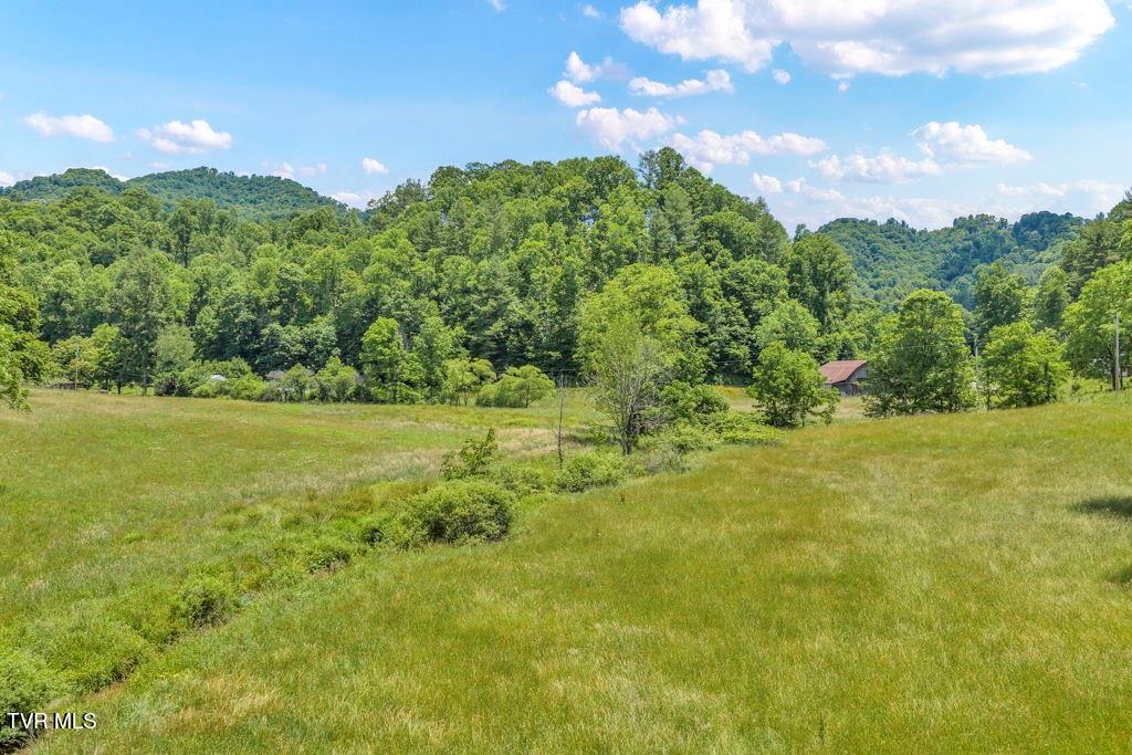 150 Fred Price Road Mountain City, TN 37683 - Photo 14 of 35 15