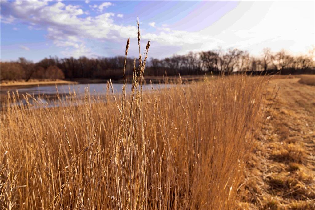 0 Edgerton Junction Road Camden Point, MO 64018 - Photo 32 of 64
