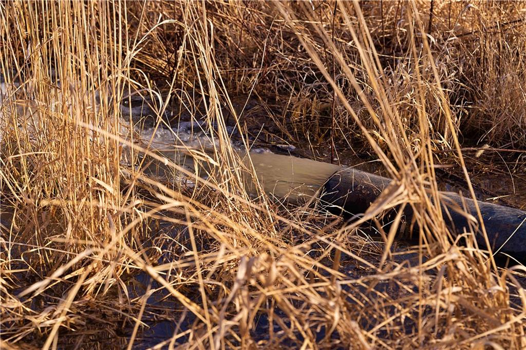 0 Edgerton Junction Road Camden Point, MO 64018 - Photo 33 of 64