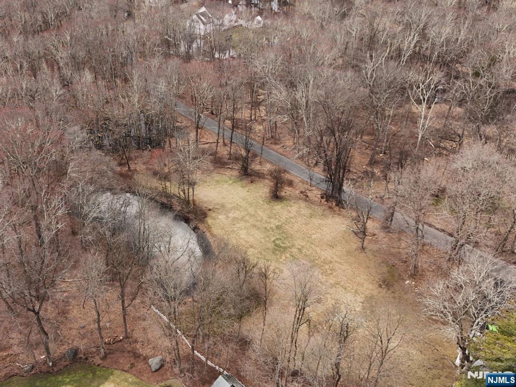 100 Brookside Road Ramsey, NJ 07446 - Photo 6 of 10