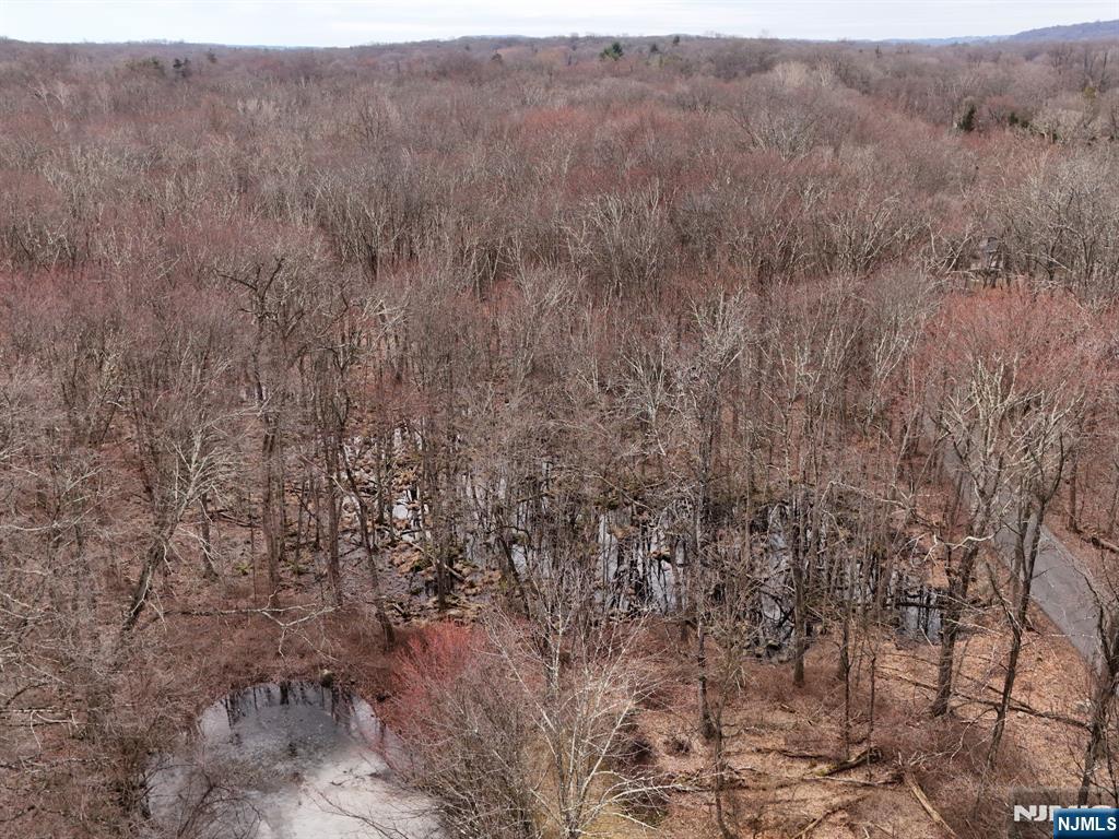 100 Brookside Road Ramsey, NJ 07446 - Photo 8 of 10