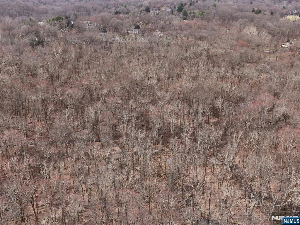 100 Brookside Road Ramsey, NJ 07446 - Photo 9 of 10