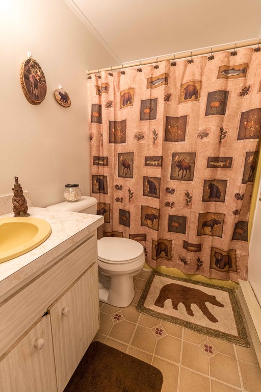 111 Sherbert Road Ashburnham, MA 01430 - Photo 9 of 18 a bathroom with a toilet a sink and a shower