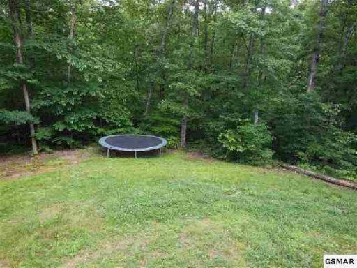 2136 Spring Drive Sevierville, TN 37876 - Photo 22 of 23 Additional Photo