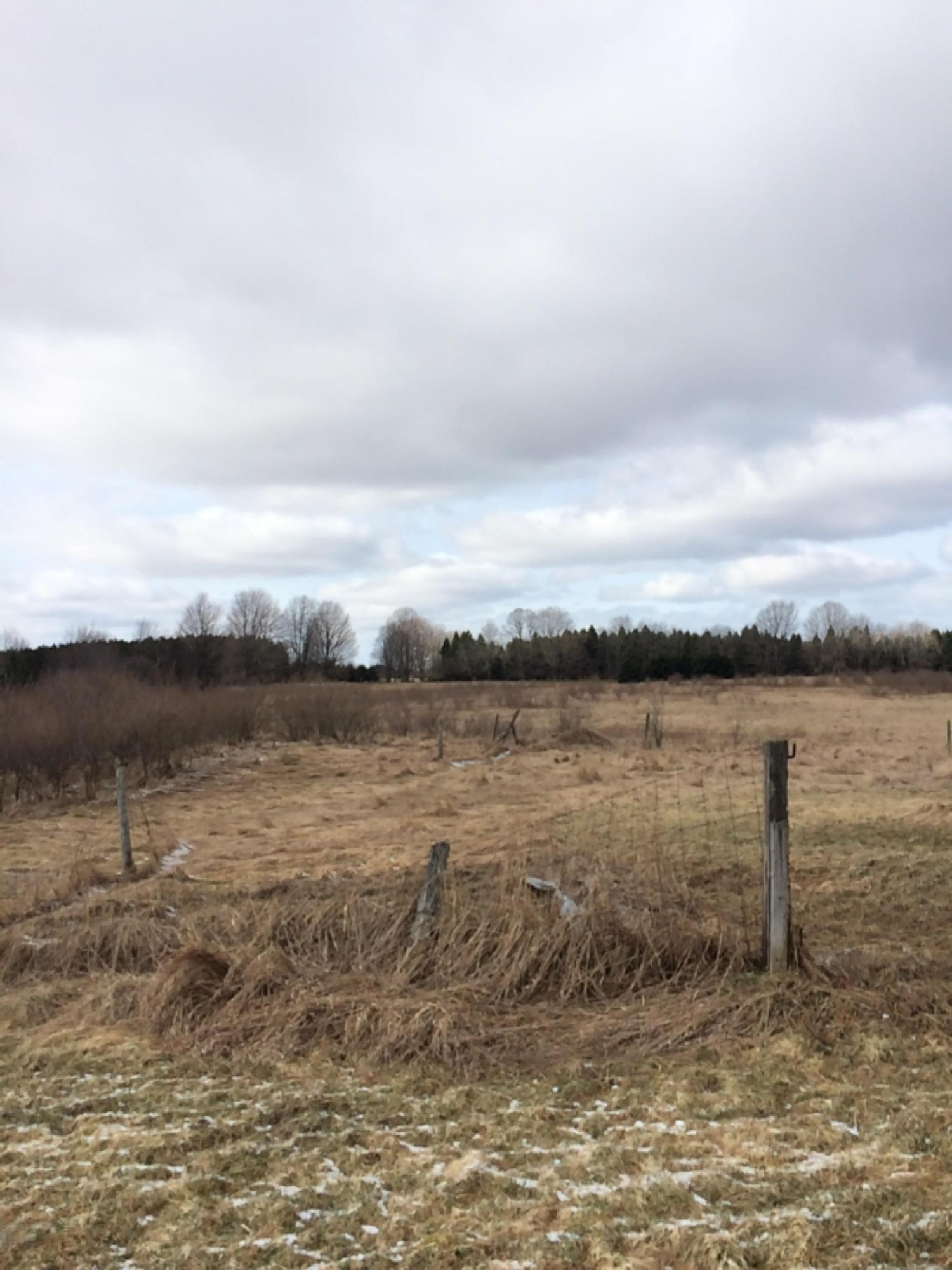 8633 North Stephens Road Free Soil, MI 49411 - Photo 3 of 4 farm5