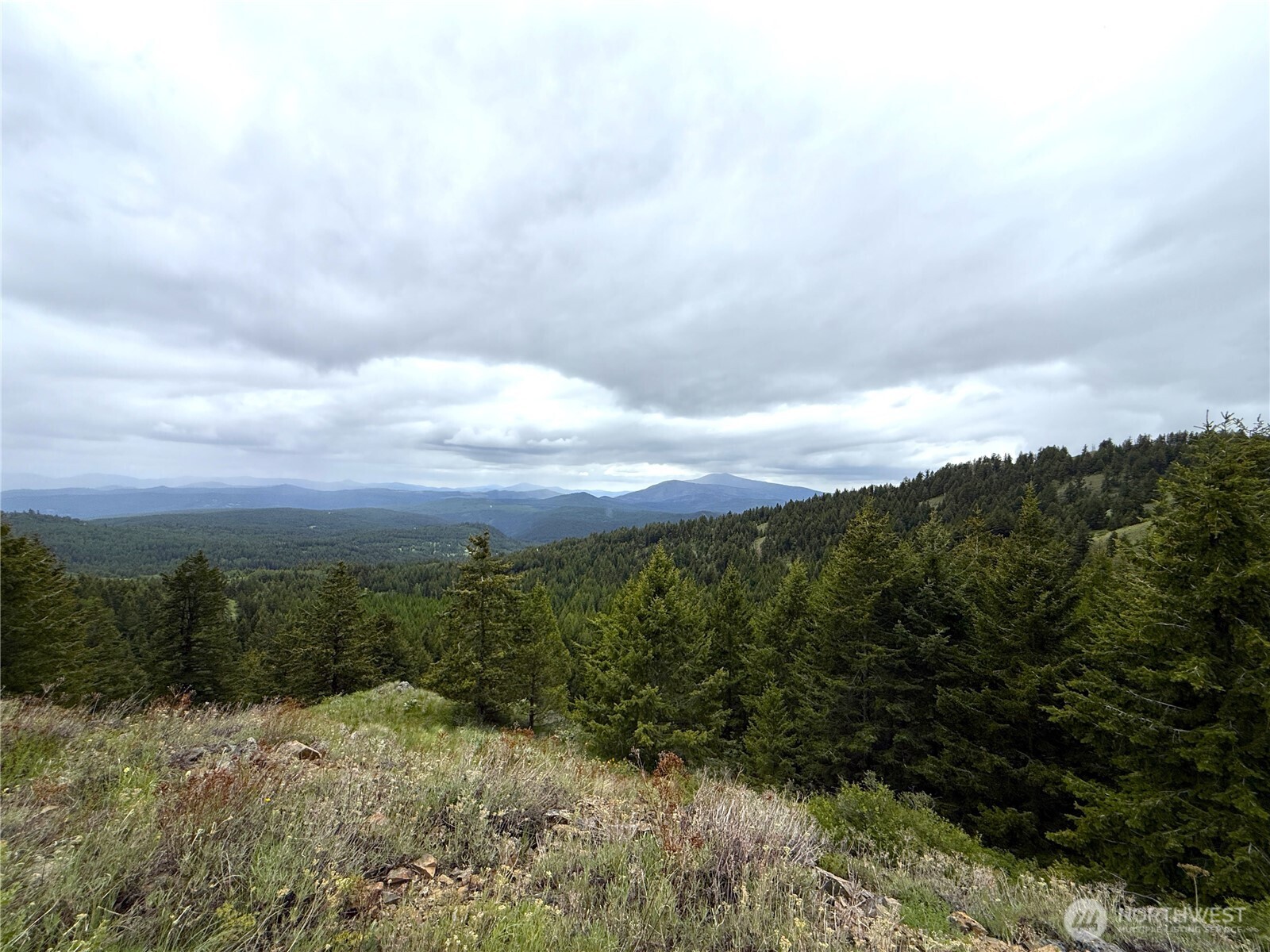 0 Pontiac Ridge Road Oroville, WA 98844 - Photo 17 of 21