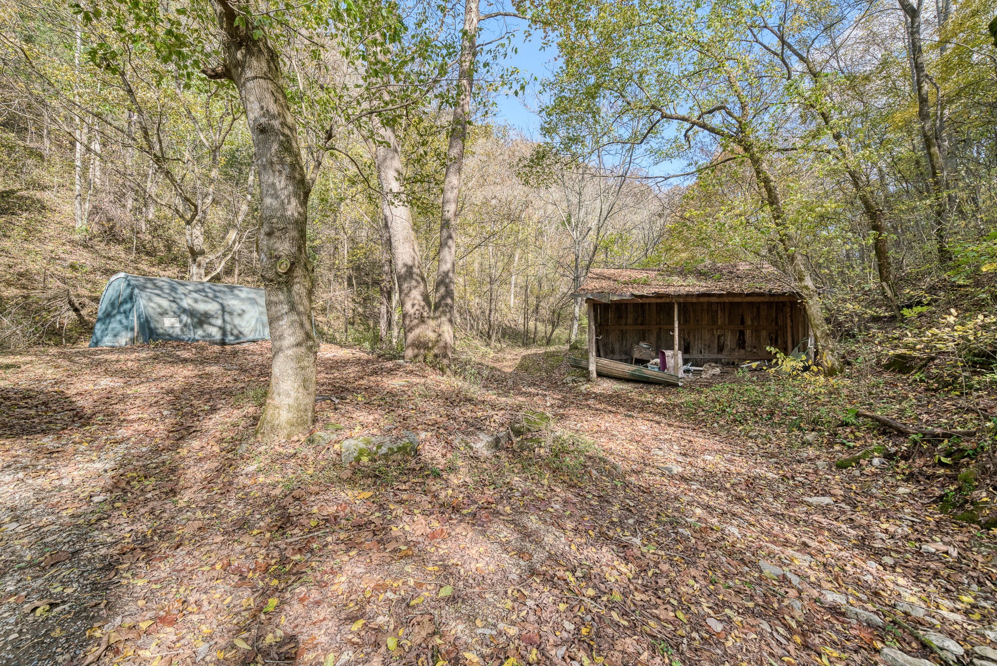 2087 Add Stafford Road Hilham, TN 38568 - Photo 24 of 43 a backyard of a house with lots of green space