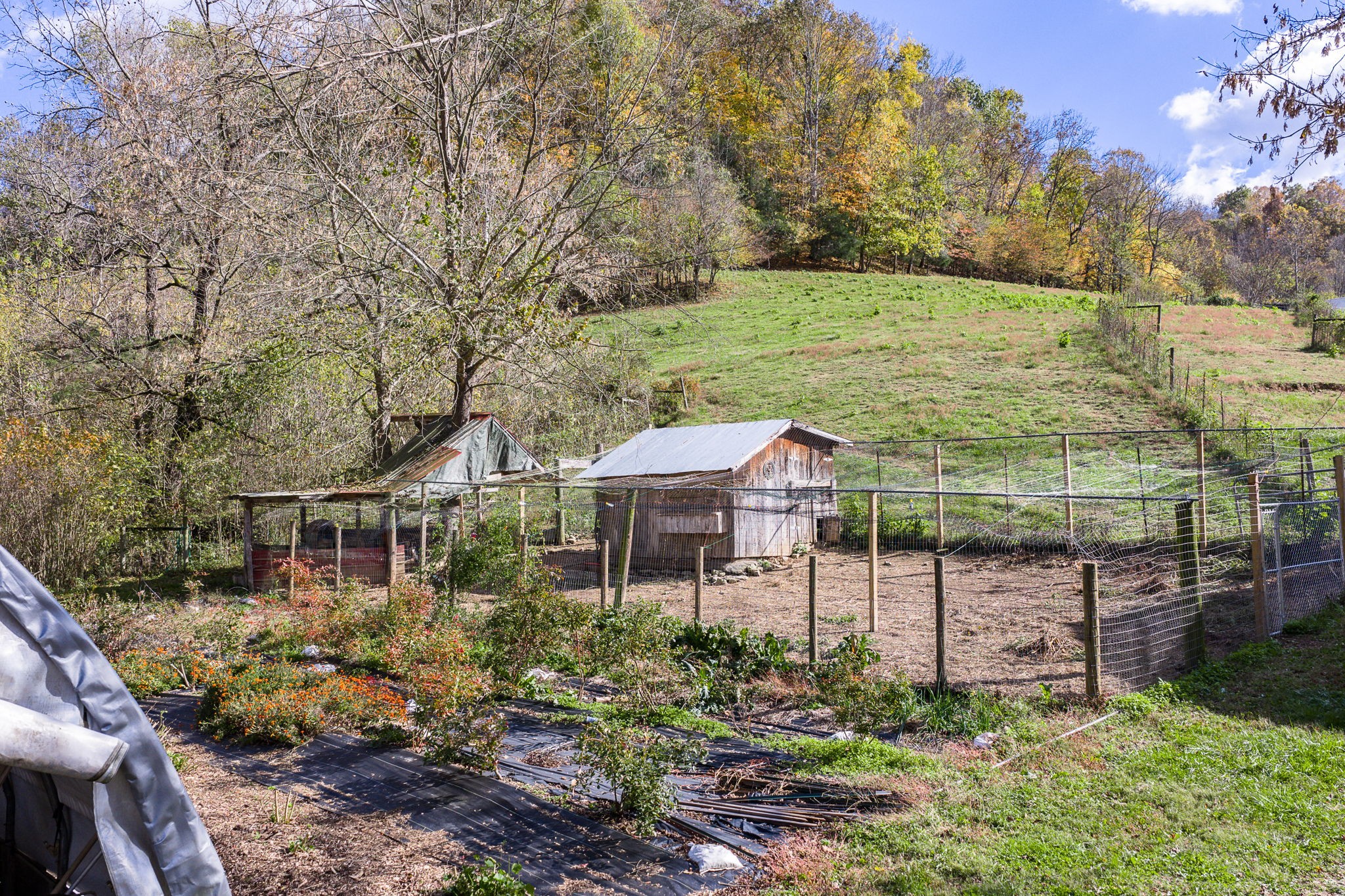 2087 Add Stafford Road Hilham, TN 38568 - Photo 26 of 43 a view of a garden with an outdoor seating