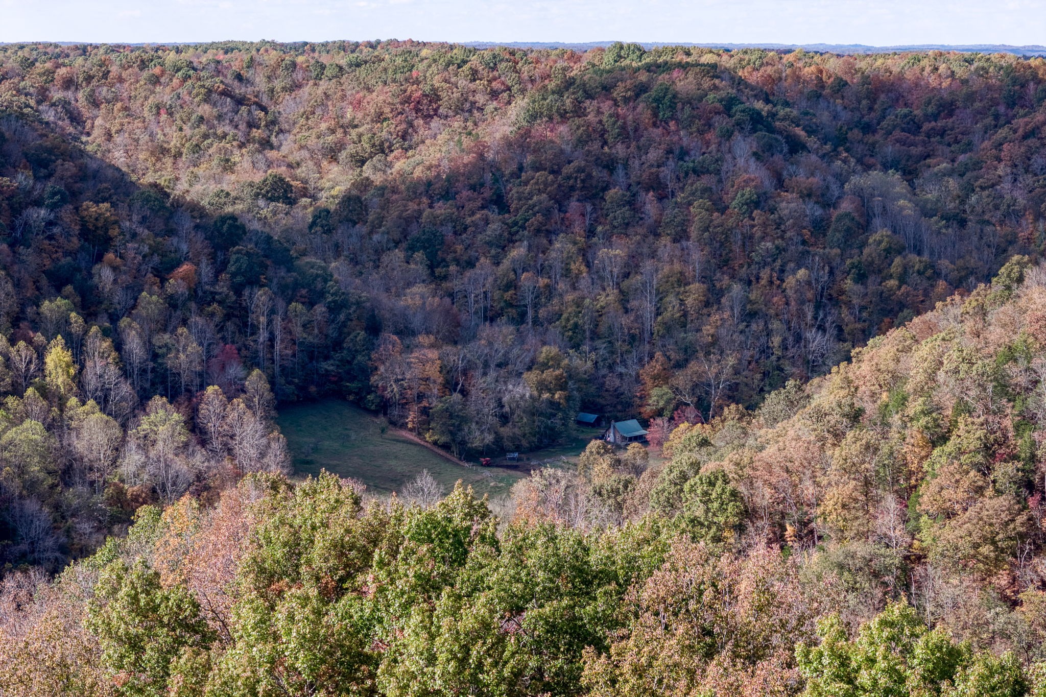 2087 Add Stafford Road Hilham, TN 38568 - Photo 28 of 43 a view of a yard with a tree