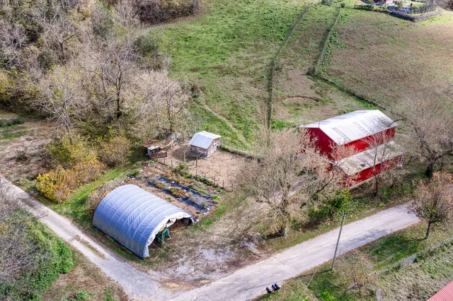 a view of a garden with plants