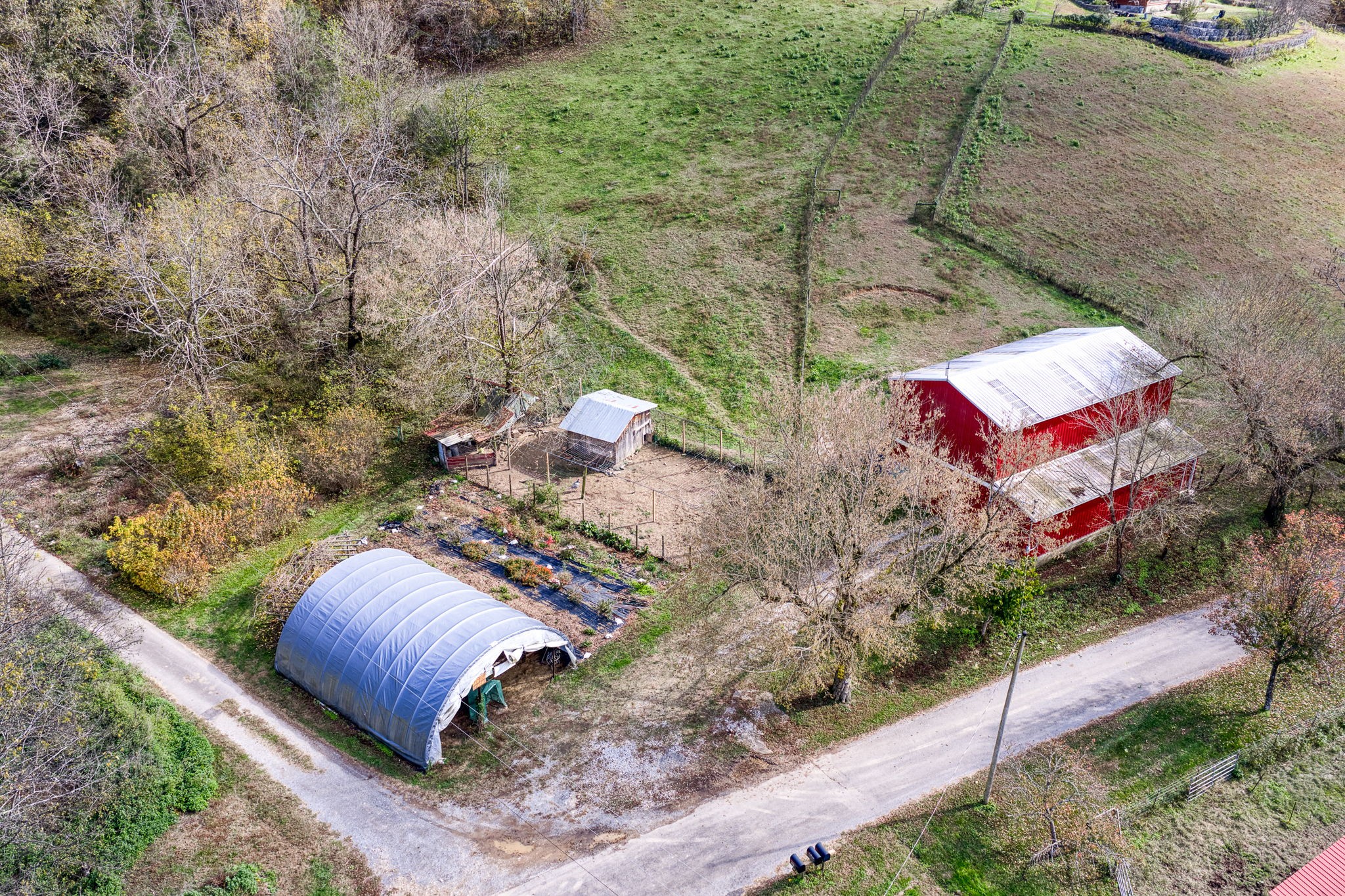 2087 Add Stafford Road Hilham, TN 38568 - Photo 3 of 43 a view of a garden with plants