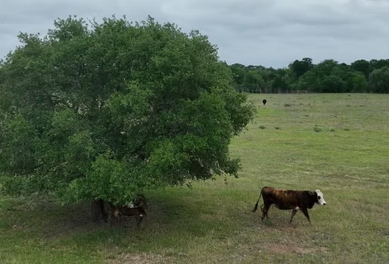 a view of a lake with outdoor seating and trees