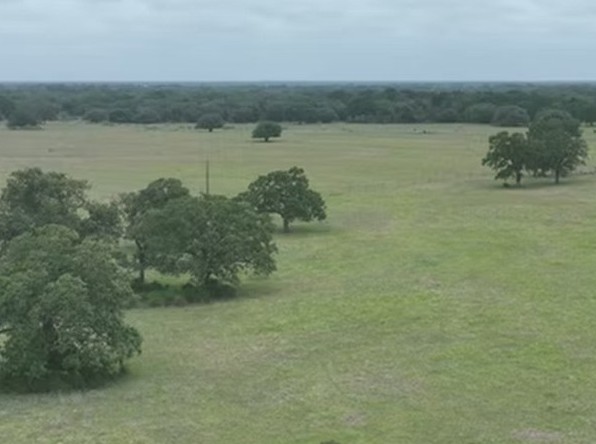 Lot 5-tbd Rd Ledbetter Tx 78946 Road Ledbetter, TX 78946 - Photo 5 of 16 Overview of rural landscape