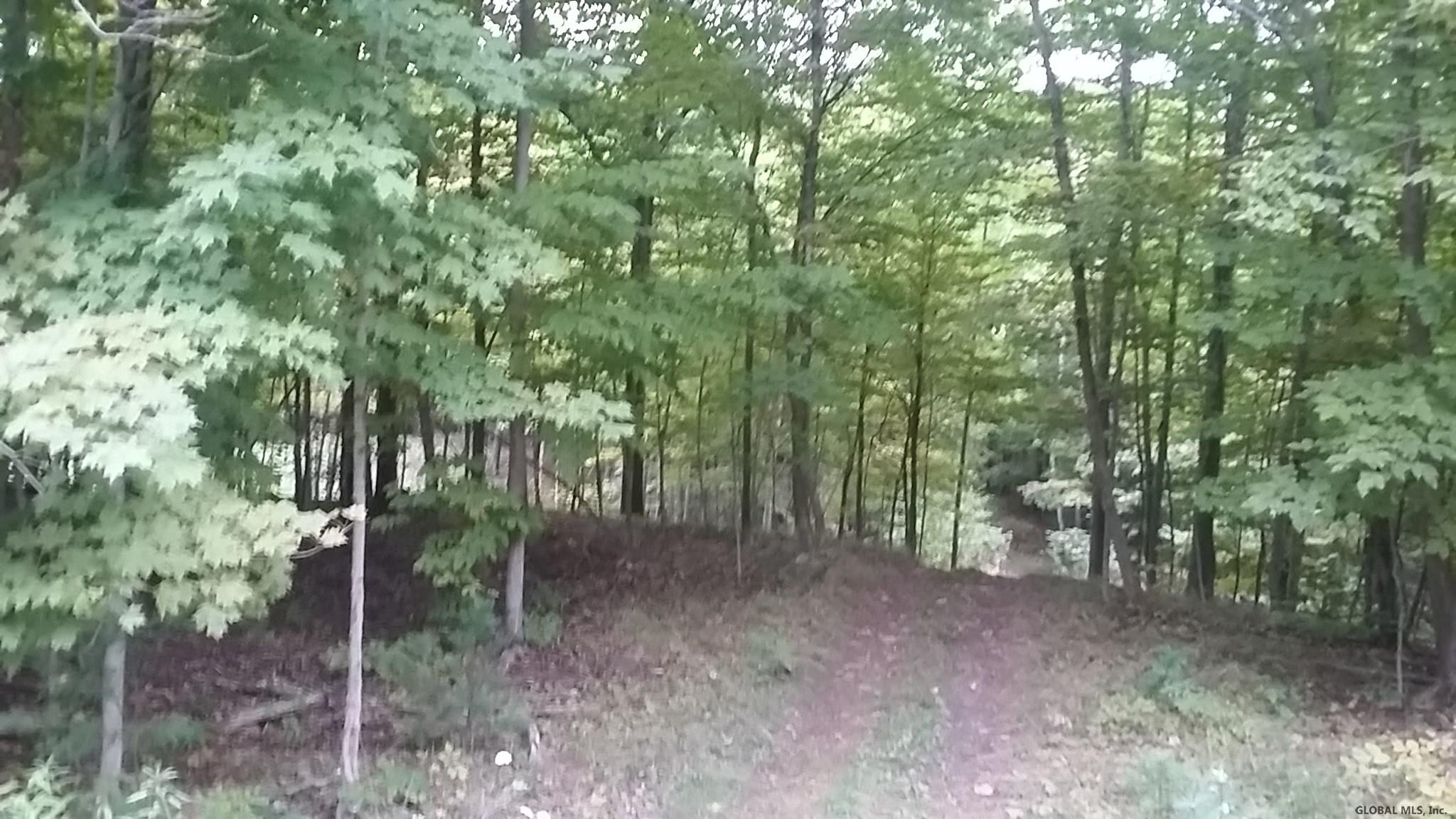 Old Tyler Road Cornwallville, NY 12418 - Photo 1 of 5 Photo 1