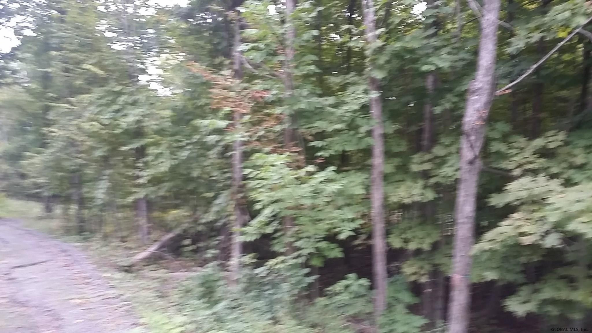 Old Tyler Road Cornwallville, NY 12418 - Photo 2 of 5 Photo 2