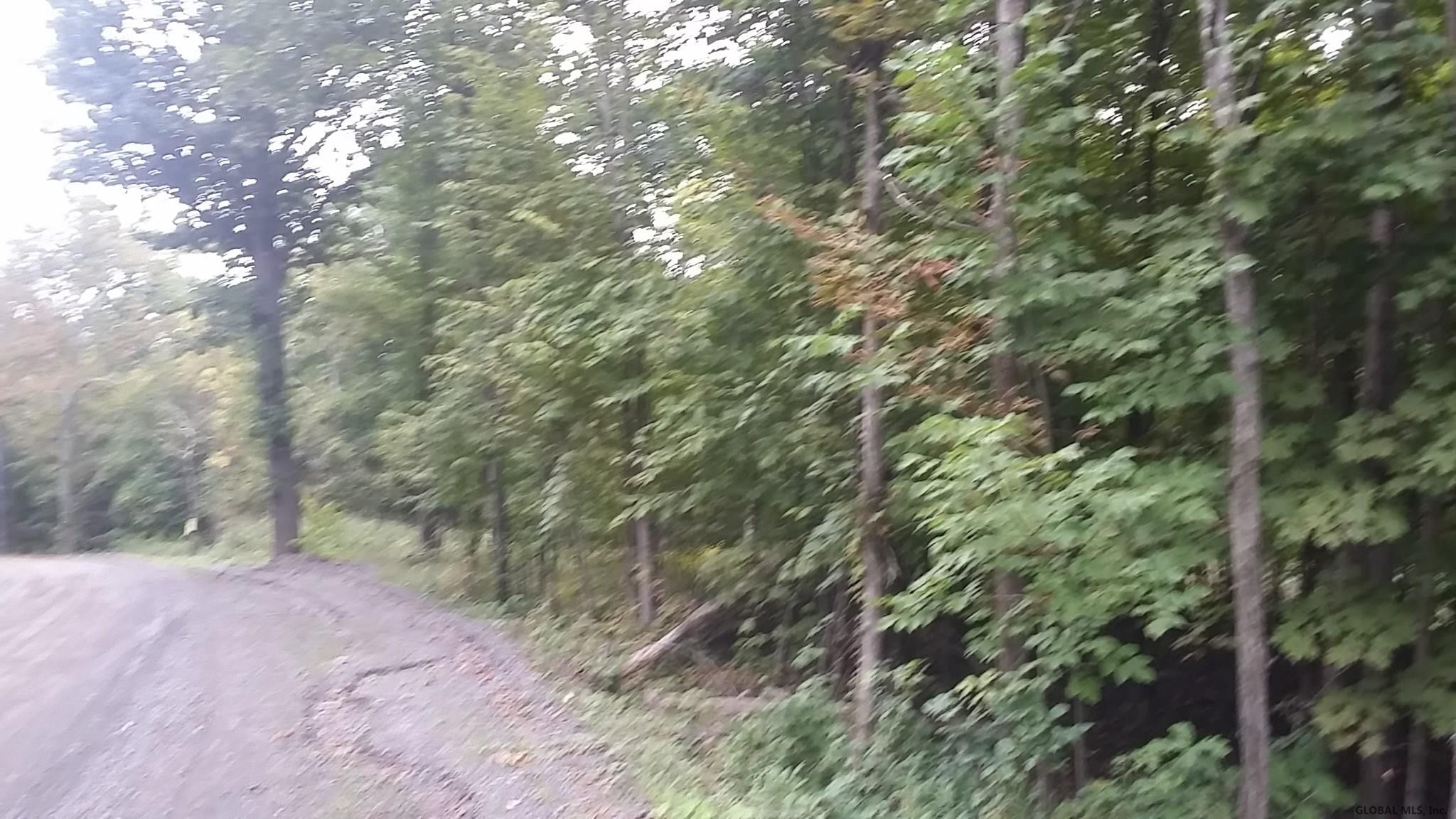 Old Tyler Road Cornwallville, NY 12418 - Photo 3 of 5 Photo 3