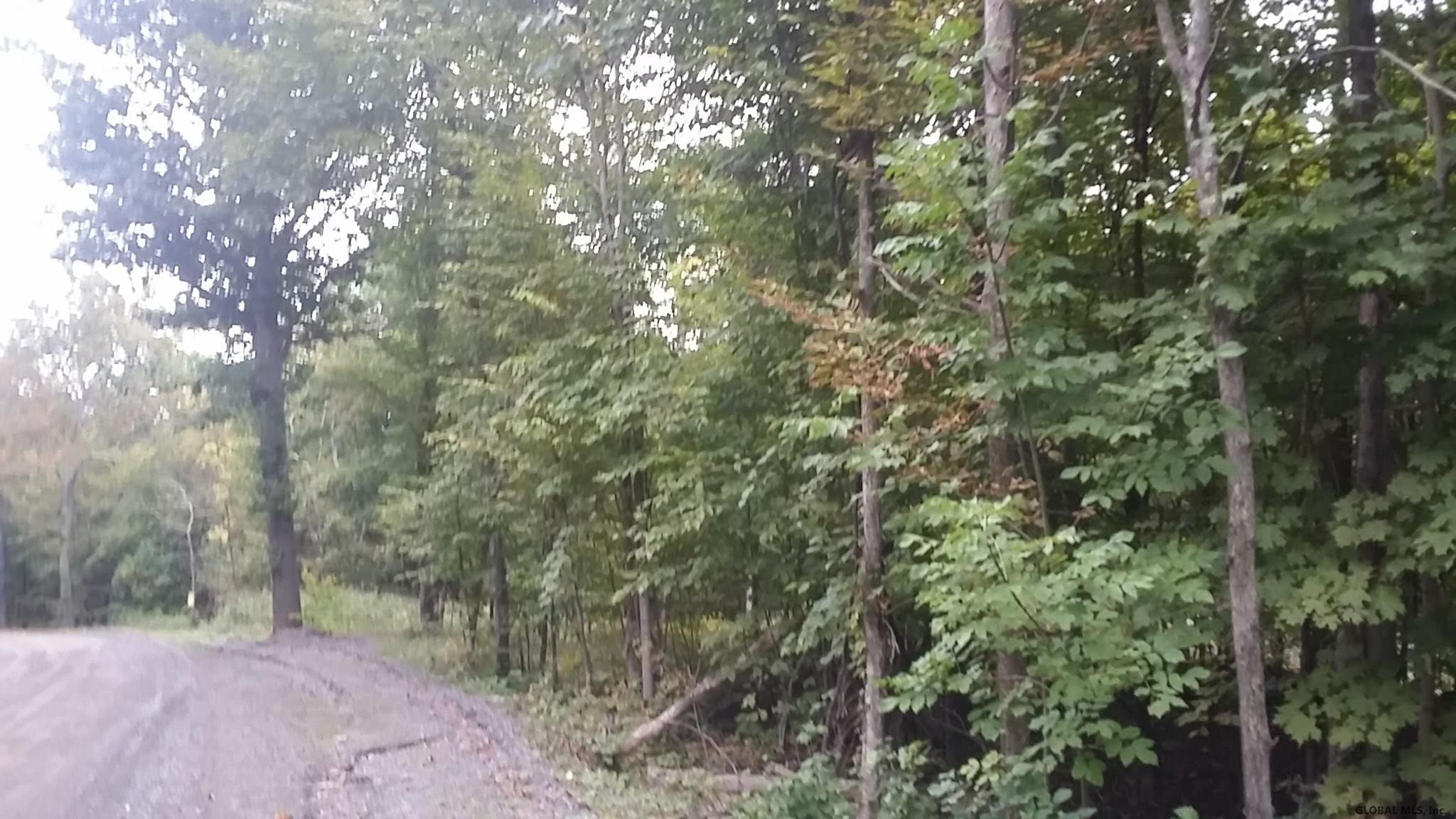 Old Tyler Road Cornwallville, NY 12418 - Photo 4 of 5 Photo 4