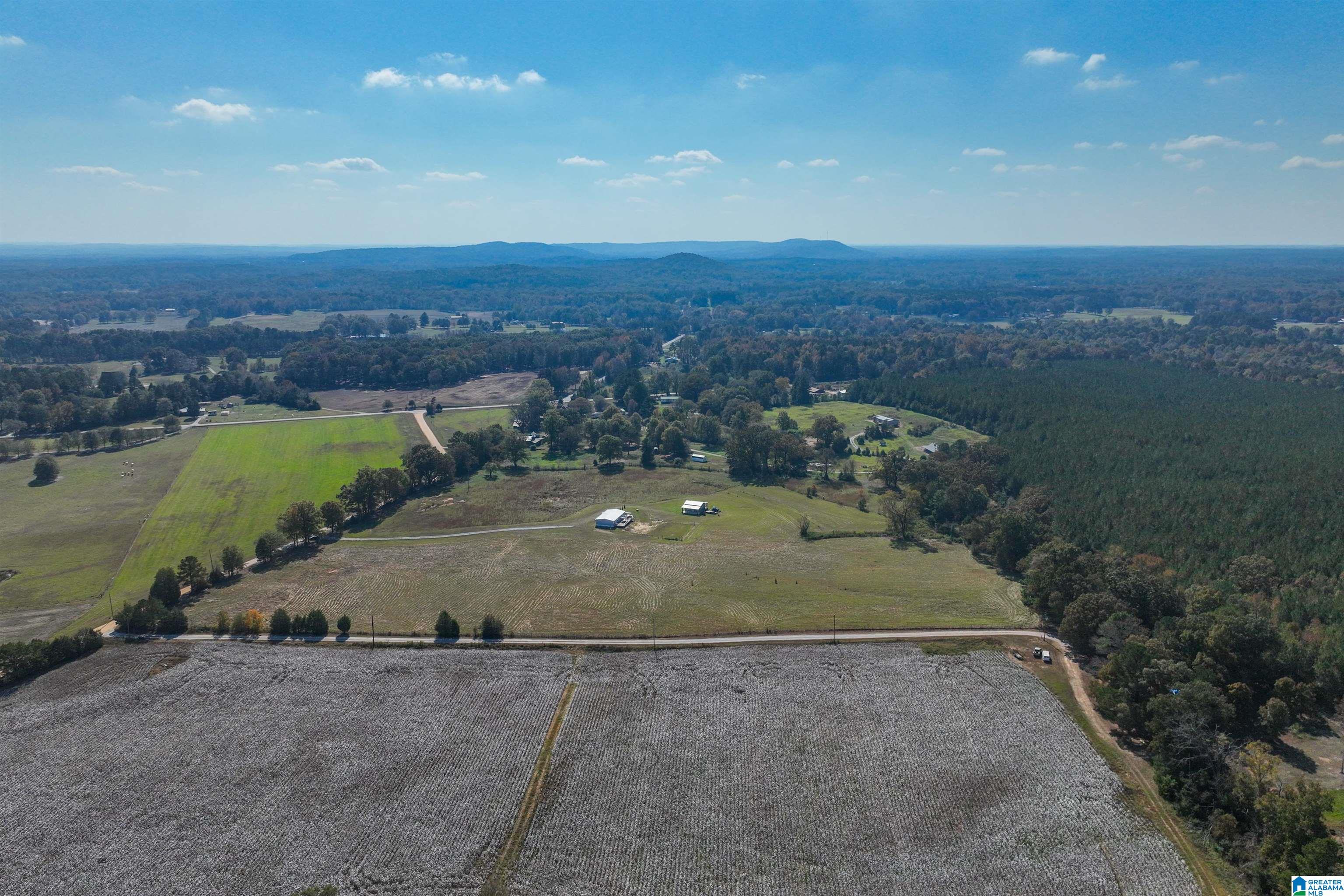 277 Jackson Farm Road Wilsonville, AL 35186 - Photo 58 of 68
