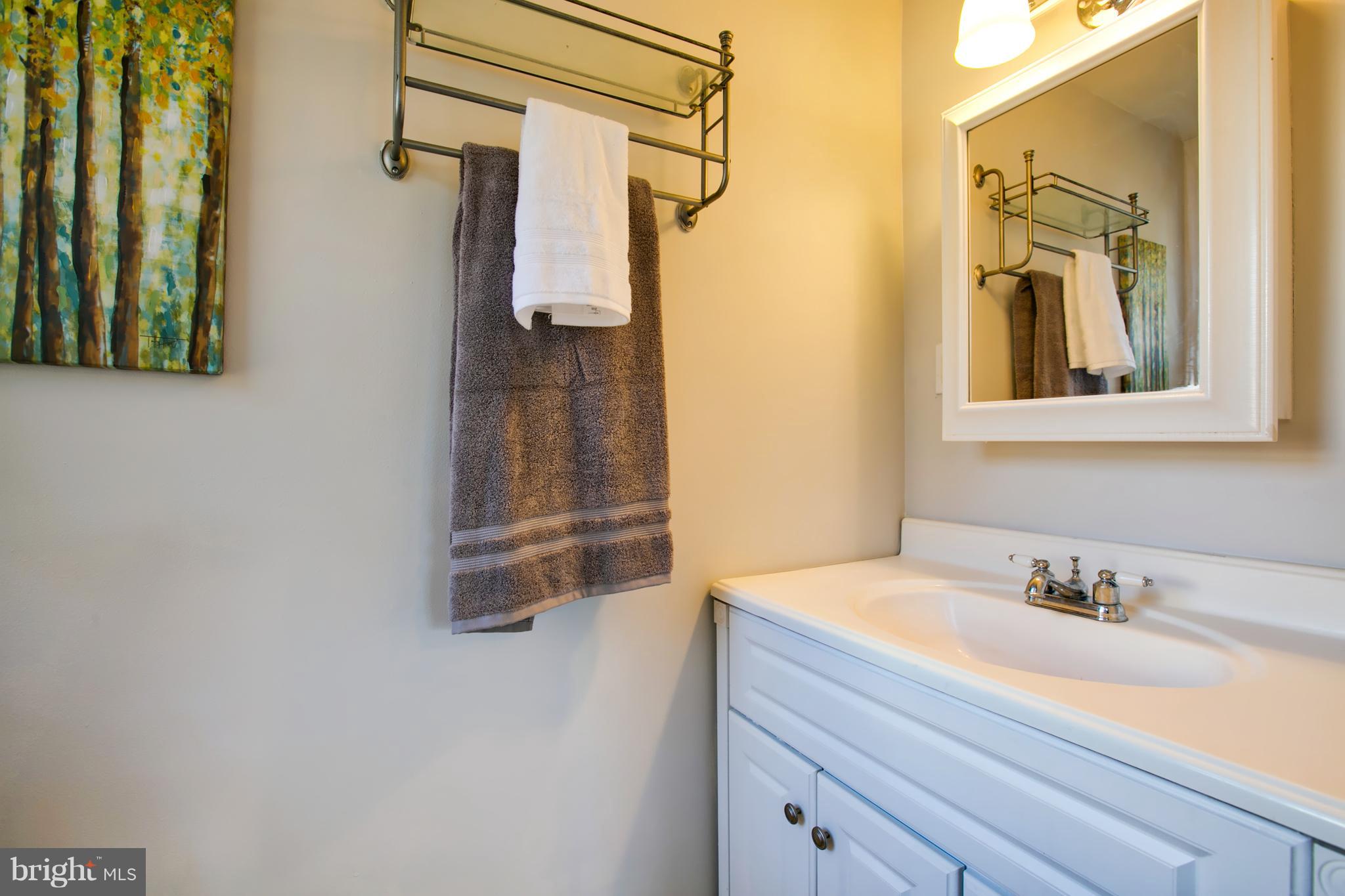 324 Aigburth Road Towson, MD 21286 - Photo 20 of 29 a bathroom with a sink and mirror