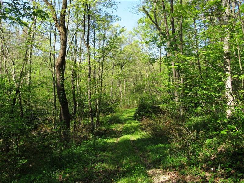 207 Clinton Road Normalville, PA 15469 - Photo 24 of 25 This is one of the many trails to be found. If you follow this one it leads right down to Poplar Run.