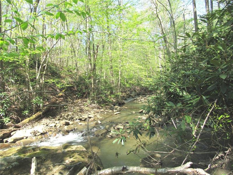 207 Clinton Road Normalville, PA 15469 - Photo 25 of 25 Now that's a fishing hole! There are several flatter bank areas that could be cleaned up for entertaining.