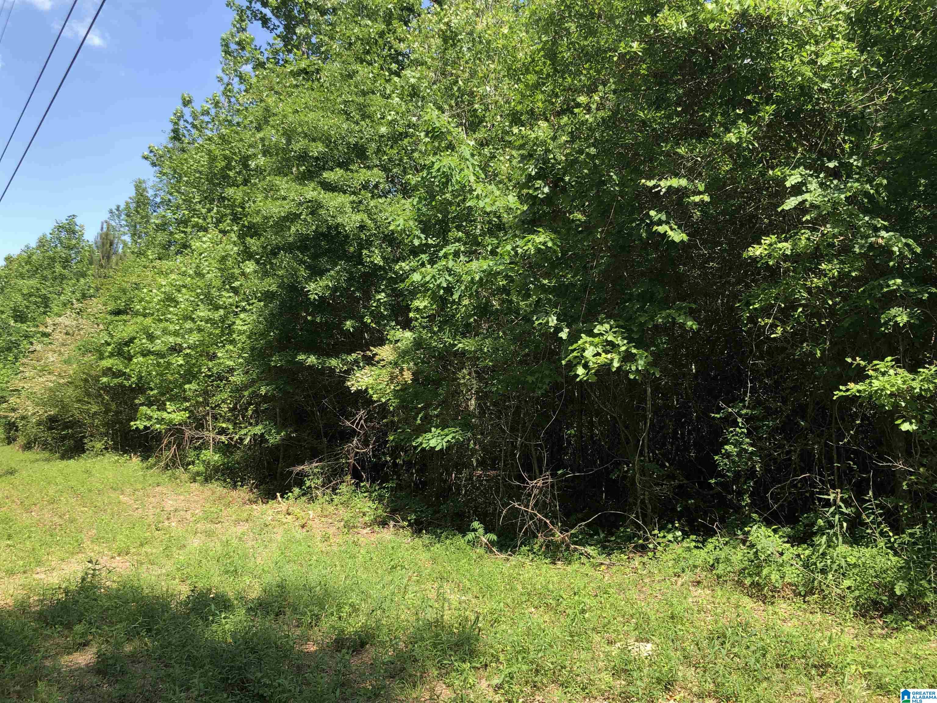 0 Peeks Hill Road, Unit 4 Ohatchee, AL 36271 - Photo 5 of 9