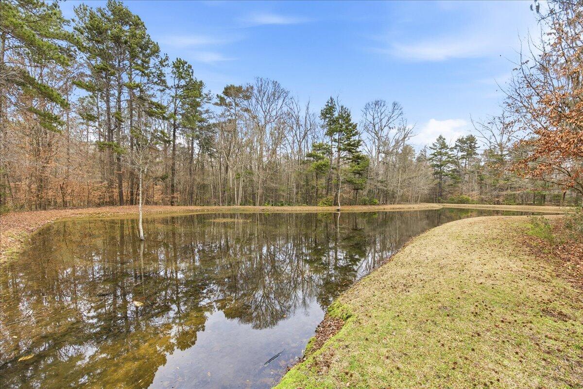 293 Chemistry Circle Ladson, SC 29456 - Photo 28 of 34 44-293_034