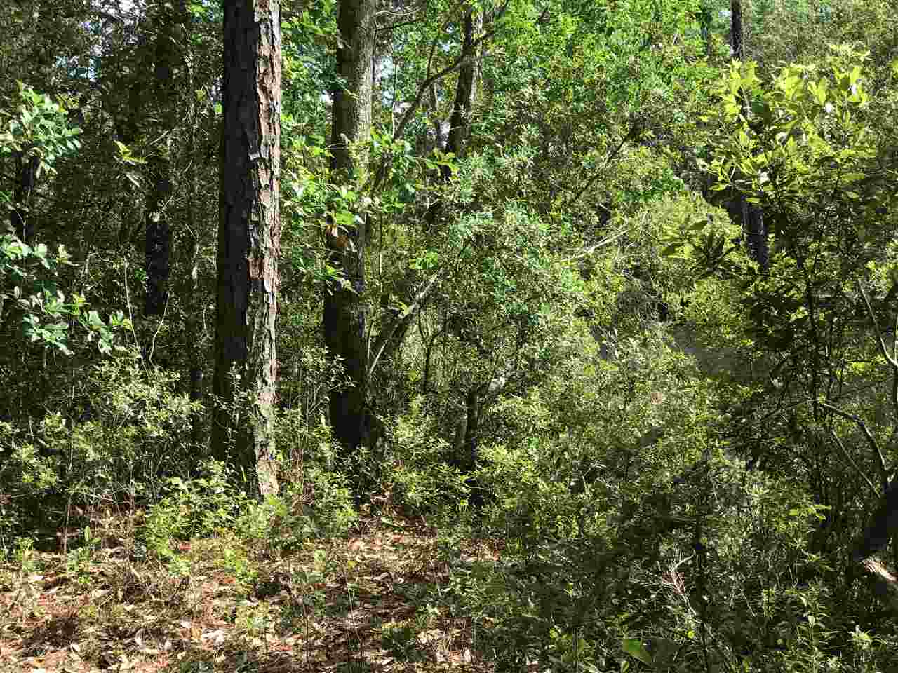 0 Boynton Road Elberta, AL 36530 - Photo 13 of 29