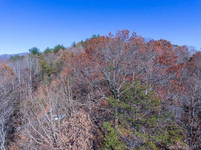 Tbd Jordan Road Swannanoa, NC 28778 - Photo 4 of 17 Gallery Image 4