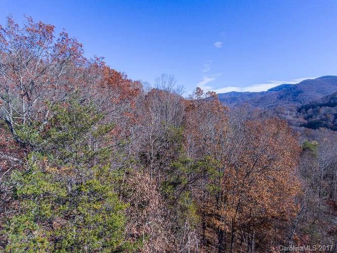 Tbd Jordan Road Swannanoa, NC 28778 - Photo 6 of 17 Gallery Image 6