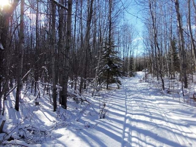Lot 38 Nathan Pass Mercer, WI 54547 - Photo 14 of 18 Gallery Image 14